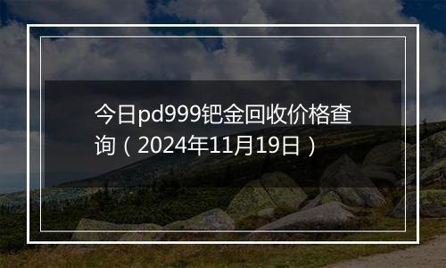 今日pd999钯金回收价格查询(2024年11月19日)