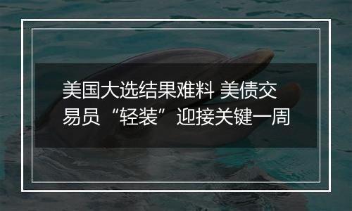 美国大选结果难料 美债交易员“轻装”迎接关键一周