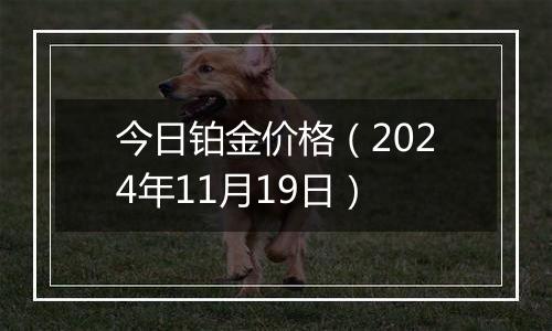 今日铂金价格(2024年11月19日)
