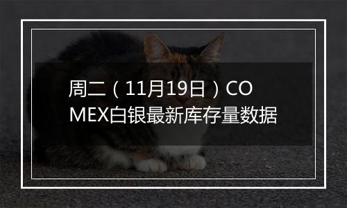 周二（11月19日）COMEX白银最新库存量数据