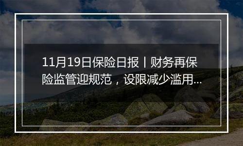 11月19日保险日报丨财务再保险监管迎规范,设限减少滥用空间!4家保险资管公司前三季度合计净赚47亿元