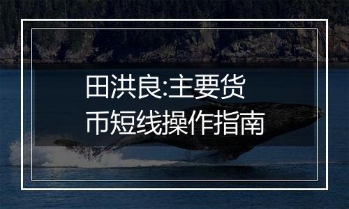 田洪良:主要货币短线操作指南