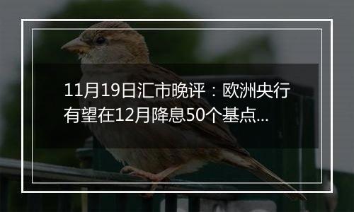 11月19日汇市晚评:欧洲央行有望在12月降息50个基点 欧元/美元在近期下跌后略有回升