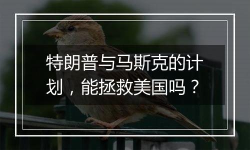 特朗普与马斯克的计划,能拯救美国吗?