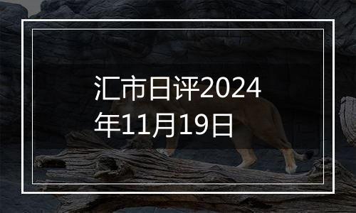 汇市日评2024年11月19日
