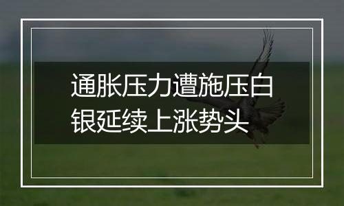 通胀压力遭施压白银延续上涨势头