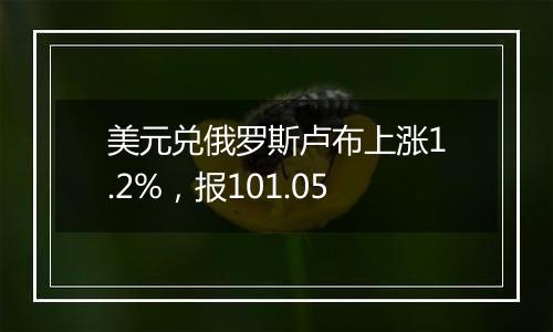 美元兑俄罗斯卢布上涨1.2%,报101.05