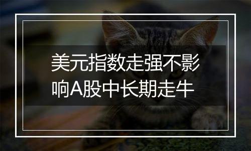 美元指数走强不影响A股中长期走牛