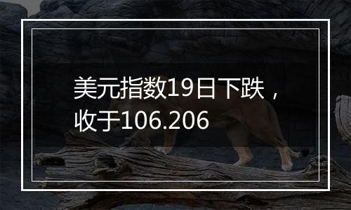 美元指数19日下跌,收于106.206