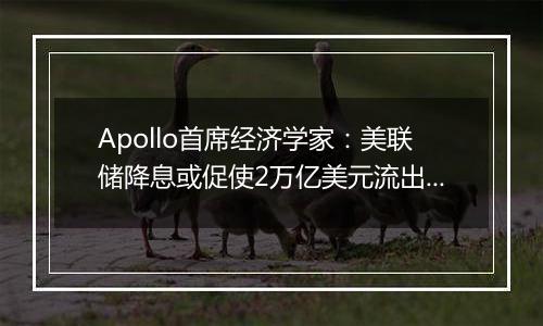 Apollo首席经济学家:美联储降息或促使2万亿美元流出货币市场基金