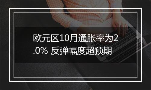 欧元区10月通胀率为2.0% 反弹幅度超预期