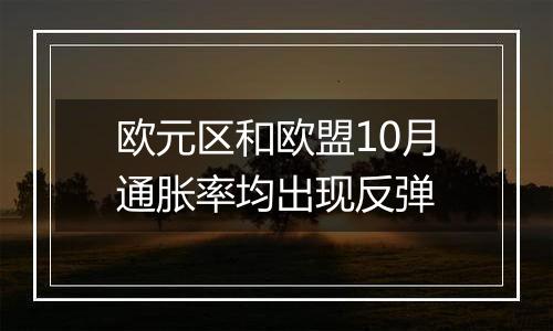 欧元区和欧盟10月通胀率均出现反弹