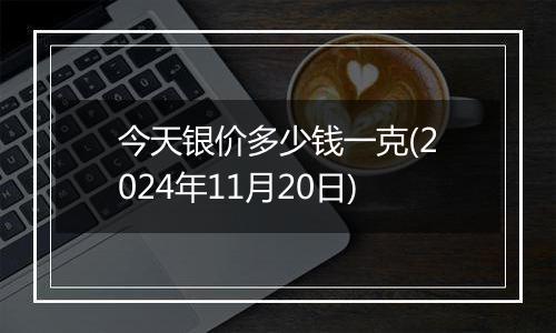 今天银价多少钱一克(2024年11月20日)