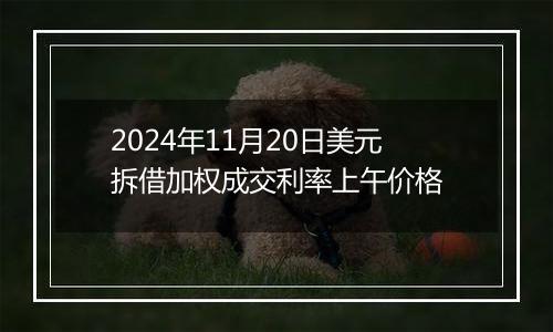2024年11月20日美元拆借加权成交利率上午价格