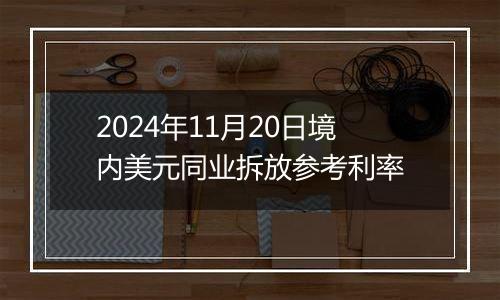 2024年11月20日境内美元同业拆放参考利率