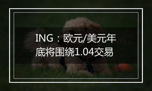 ING:欧元/美元年底将围绕1.04交易