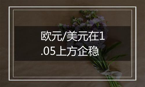 欧元/美元在1.05上方企稳