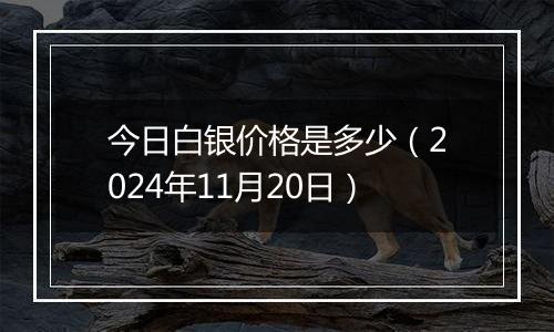 今日白银价格是多少(2024年11月20日)