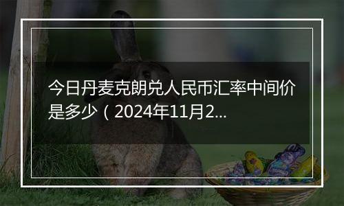 今日丹麦克朗兑人民币汇率中间价是多少(2024年11月20日)