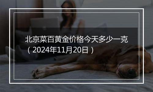 北京菜百黄金价格今天多少一克（2024年11月20日）