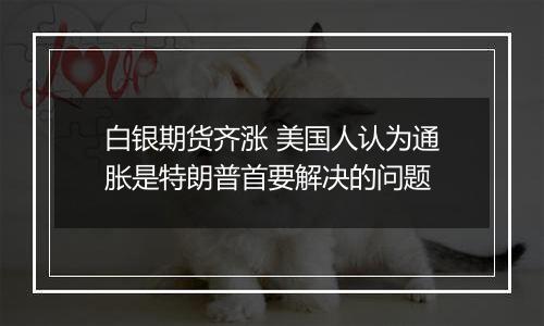 白银期货齐涨 美国人认为通胀是特朗普首要解决的问题