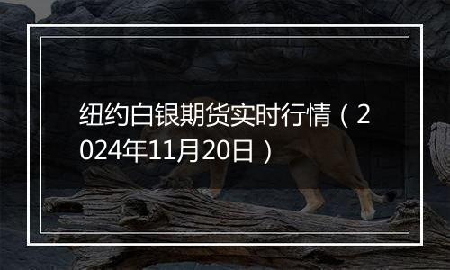 纽约白银期货实时行情（2024年11月20日）
