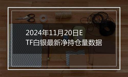 2024年11月20日ETF白银最新净持仓量数据