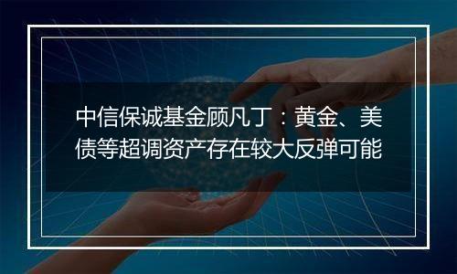 中信保诚基金顾凡丁:黄金、美债等超调资产存在较大反弹可能