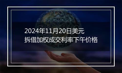 2024年11月20日美元拆借加权成交利率下午价格