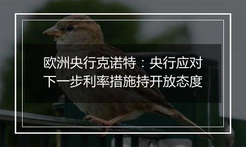 欧洲央行克诺特：央行应对下一步利率措施持开放态度