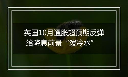 英国10月通胀超预期反弹 给降息前景“泼冷水”