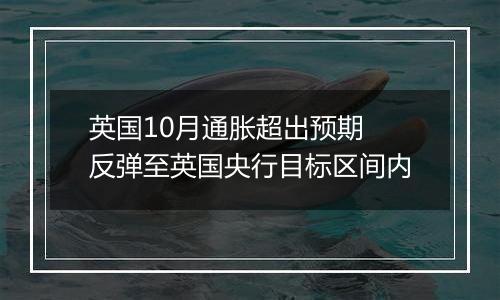 英国10月通胀超出预期 反弹至英国央行目标区间内