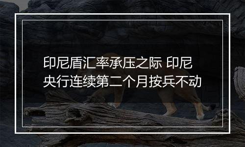印尼盾汇率承压之际 印尼央行连续第二个月按兵不动