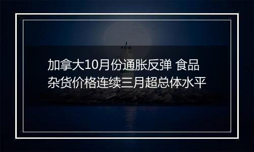 加拿大10月份通胀反弹 食品杂货价格连续三月超总体水平