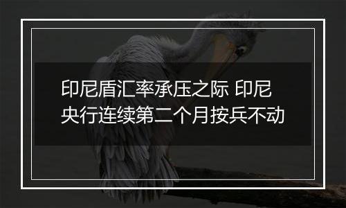 印尼盾汇率承压之际 印尼央行连续第二个月按兵不动