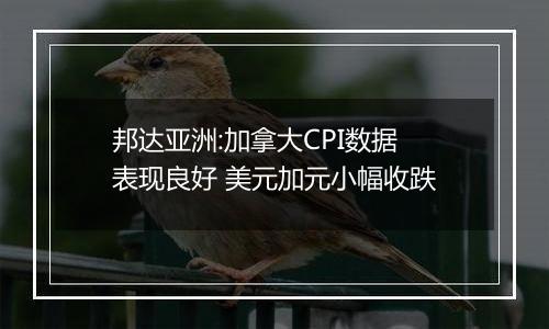 邦达亚洲:加拿大CPI数据表现良好 美元加元小幅收跌