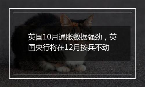 英国10月通胀数据强劲,英国央行将在12月按兵不动