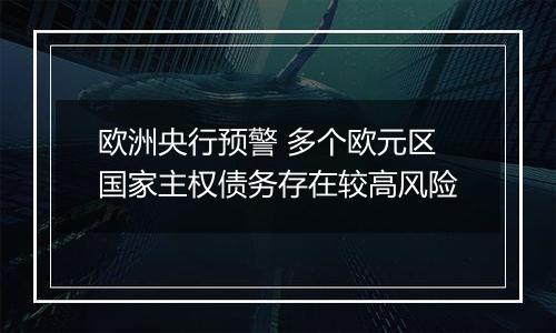 欧洲央行预警 多个欧元区国家主权债务存在较高风险