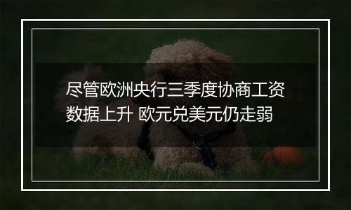 尽管欧洲央行三季度协商工资数据上升 欧元兑美元仍走弱