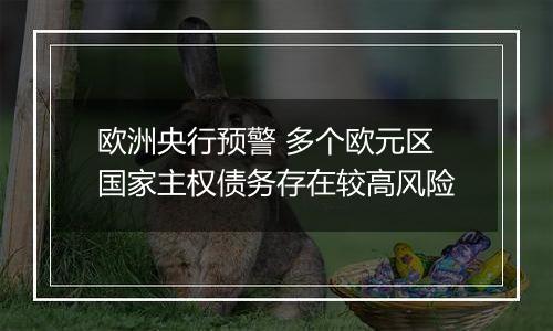 欧洲央行预警 多个欧元区国家主权债务存在较高风险