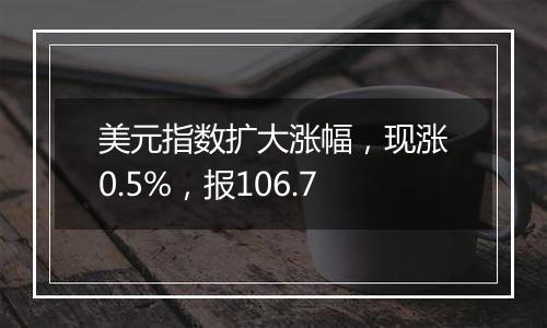美元指数扩大涨幅,现涨0.5%,报106.7