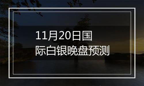 11月20日国际白银晚盘预测