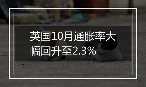 英国10月通胀率大幅回升至2.3%
