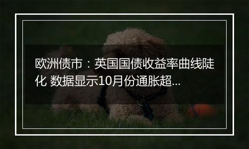 欧洲债市:英国国债收益率曲线陡化 数据显示10月份通胀超过预期