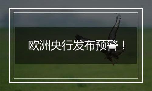 欧洲央行发布预警！