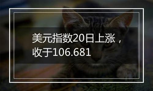 美元指数20日上涨,收于106.681
