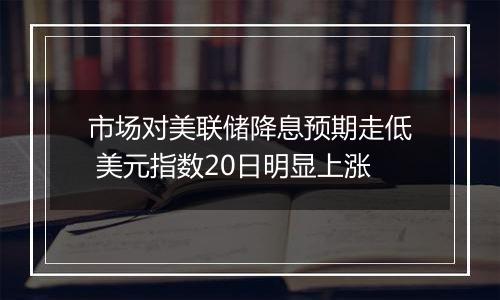 市场对美联储降息预期走低 美元指数20日明显上涨
