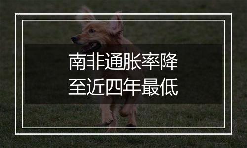 南非通胀率降至近四年最低