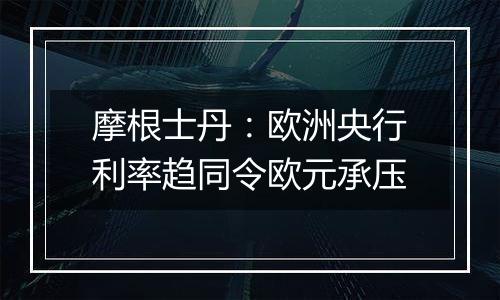 摩根士丹：欧洲央行利率趋同令欧元承压