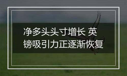净多头头寸增长 英镑吸引力正逐渐恢复
